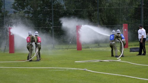 DSC2850
