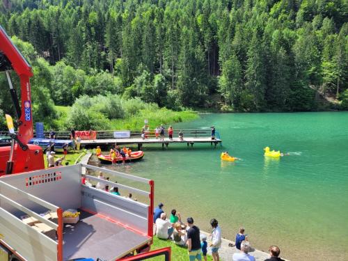 Entenabschluss Tristachersee