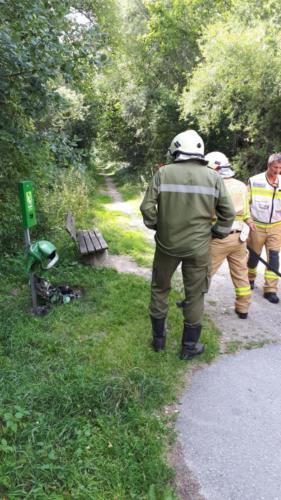 Brandeinsatz Mülleimer Juli 2019